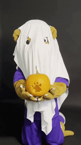 Halloween Ghost GIF by Linfield University