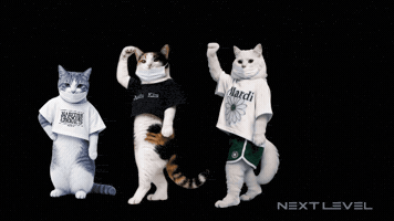 코리아 댄스 스토리 GIF