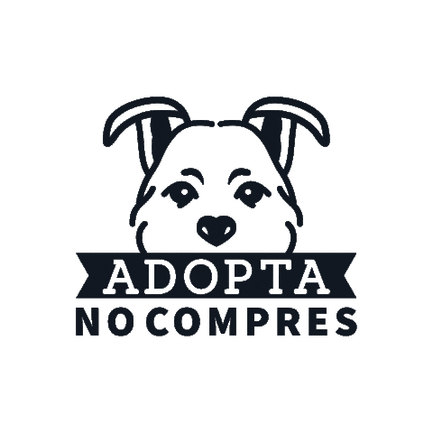 Alexis Larios Sticker