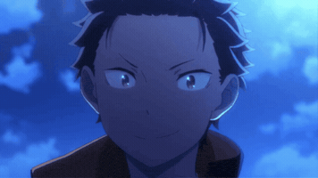 Re Zero Night GIF