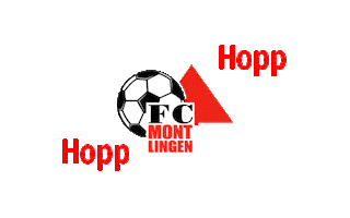 Soccer Rheintal Sticker by Sonnenbräu