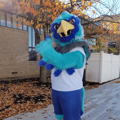 Lets Go Mascot GIF by Anne Arundel Community College