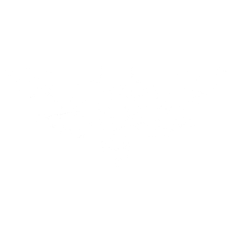 Moth Sticker by Rexera Clothing Company