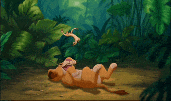 i miss this the lion king GIF