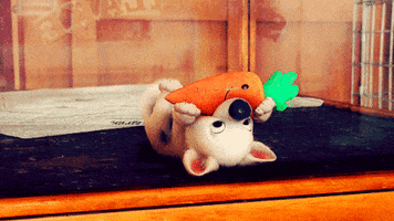 Dog Carrot animated GIF