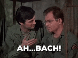 patty mash ahbach GIF