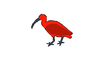 Bird Guaratuba Sticker by Guará Mapping Festival