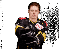 Del2 Seidenstadt Sticker by Krefeld Pinguine