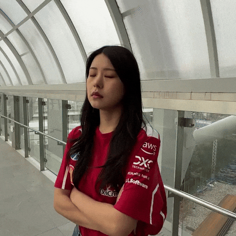 Ferrari GIF