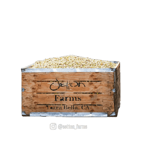 Vegan Protein Sticker by Setton Farms