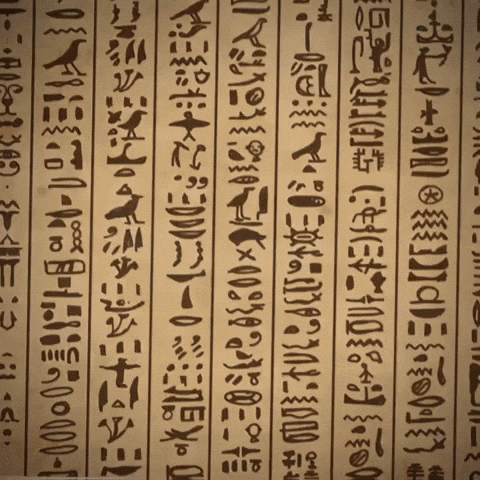 Cat Egypt GIF