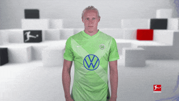 Happy Vfl Wolfsburg GIF by Bundesliga