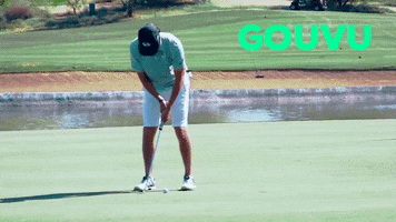 proud hole in one GIF