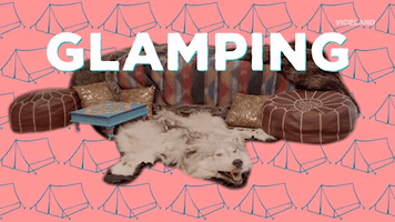 glam camping GIF by MOST EXPENSIVEST