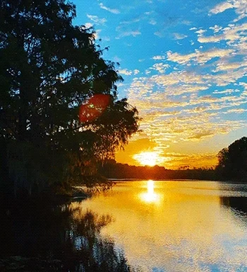 Blue Sky Water GIF by University of Florida