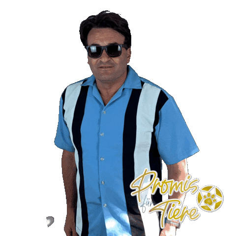 Promis für Tiere Sticker