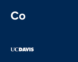 College Commencement GIF by UC Davis