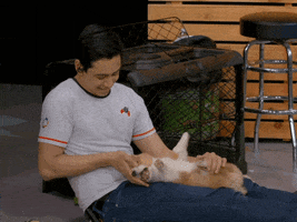 Rooster Teeth Dogs GIF by Achievement Hunter