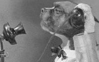 dog-vintage-phone-jmdSl4757OteE