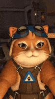 Cat Overwatch GIF
