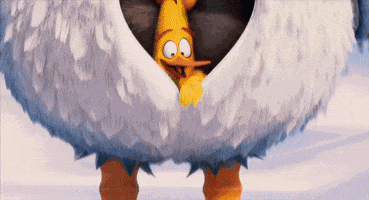 eagle zip GIF by Angry Birds Movie