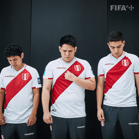 Peru Fenc GIF by FIFA