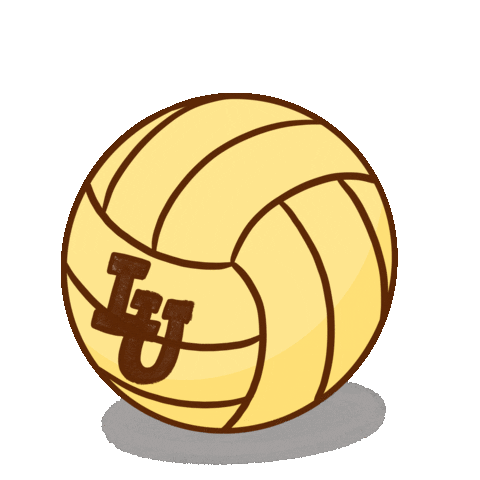 Volleyball Lu Sticker by Lehigh University