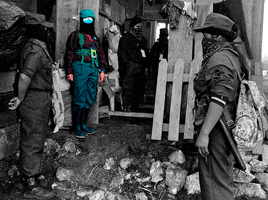 Gifhackfeministas GIF