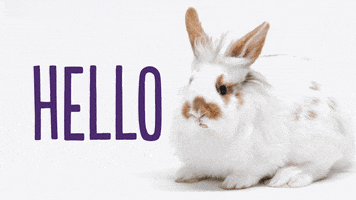 Bunny Hello GIF by TELUS