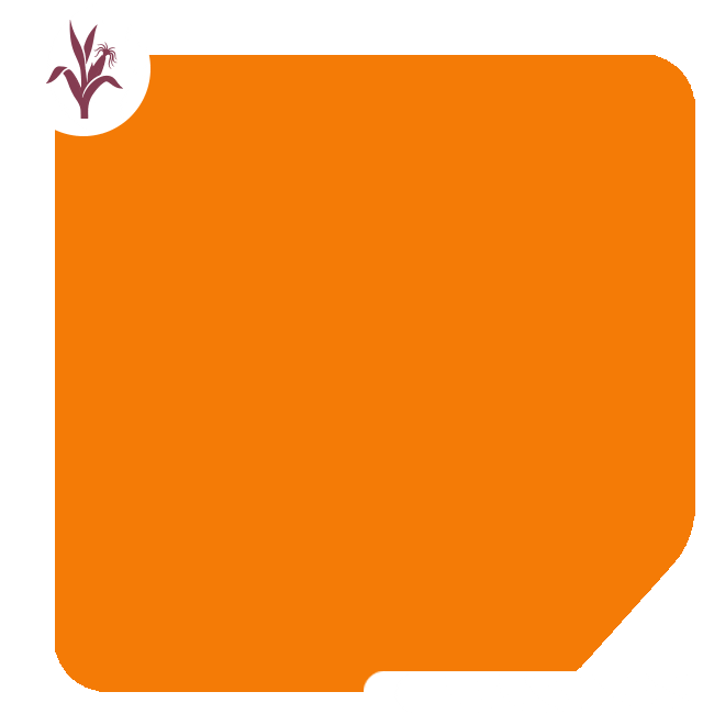 2702 GIF by Brevant Sementes