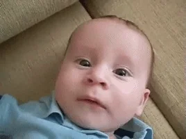 https://media2.giphy.com/media/jnQYWZ0T4mkhCmkzcn/200.webp?cid=790b7611cf44ebd37de0e9da7d3263b4a75d9c41707dd053&rid=200.webp