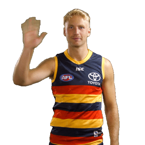 Wave Waving Sticker by Adelaide Crows