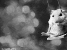 Fun GIF