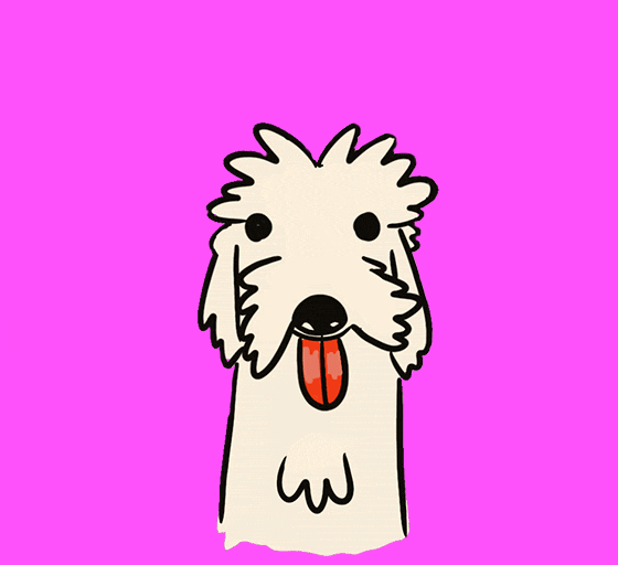 Psicodelic Dog GIFs Find & Share on GIPHY