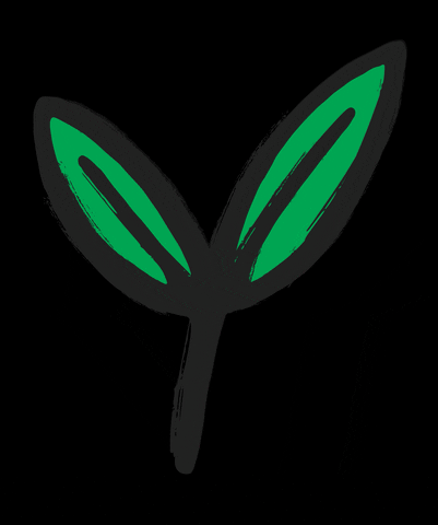 SFBC GIF