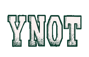 Music Festival Sticker by Y Not Festival