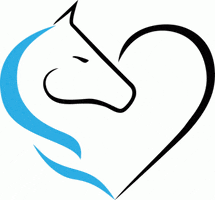 La Selleria Online GIF