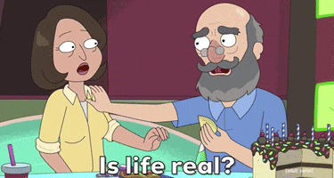 Season 4 Episode 6 GIF by Rick and Morty