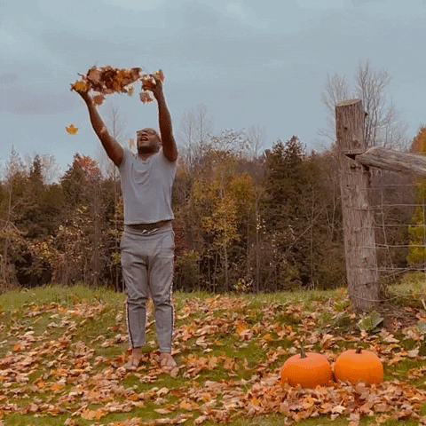 Leaf-throwing GIFs - Get the best GIF on GIPHY