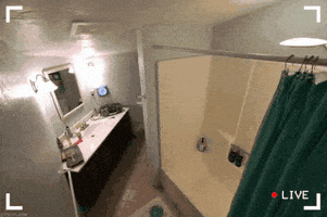 momentcam bathroom
