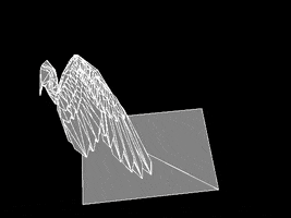 wing GIF
