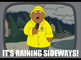 Raining Sideways Family Guy GIF by Nashville SC