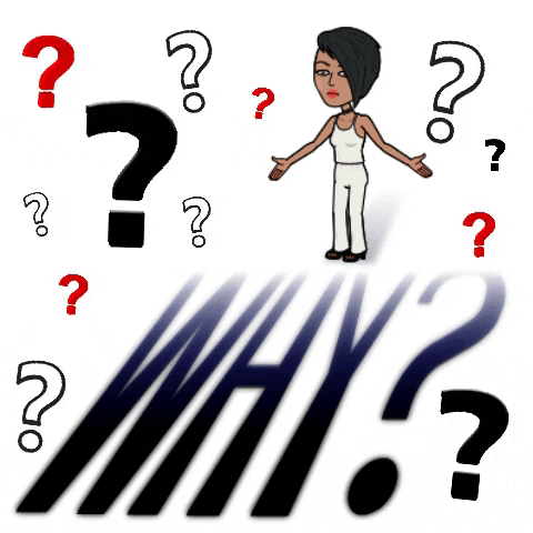 donnathomas-rodgers what why really question GIF