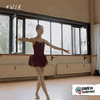Dance Ballet GIF by SWR Kindernetz