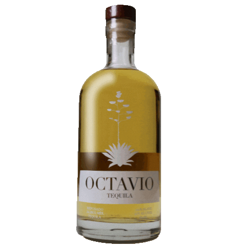 Octavio Tequila Sticker