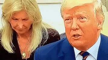 Trump GIF