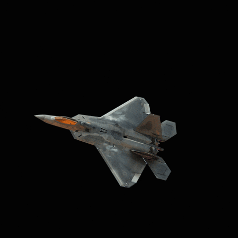 FIDAE GIF