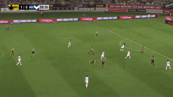 Wellington Phoenix FC GIF