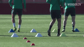 Mallorca Trainingslager GIF by SV Werder Bremen