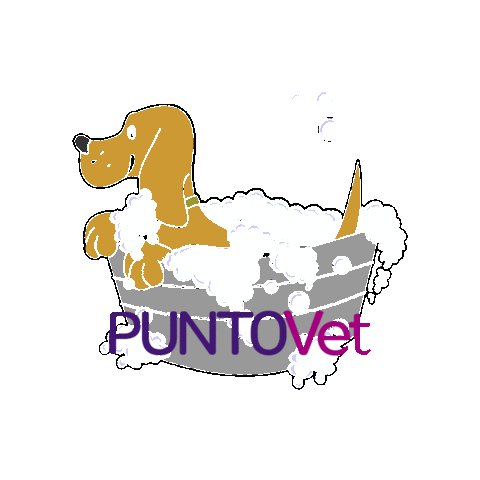 PuntoVet Sticker